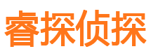 东宝市私家侦探